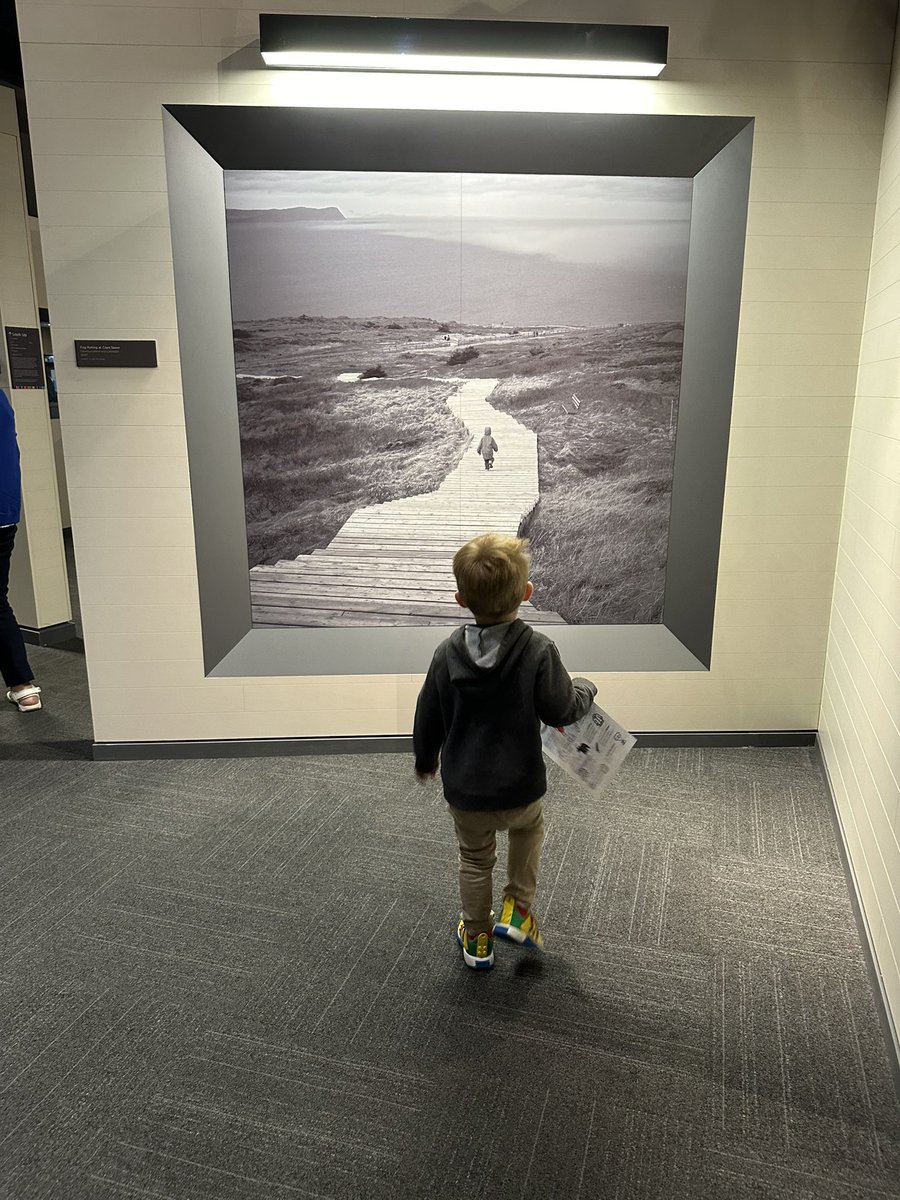heatbomb's tweet photo. The exhibits are so vivid you feel like you could walk right into them. 

What a great day we had @TheRooms_NL https://t.co/2J4QQLFEcq