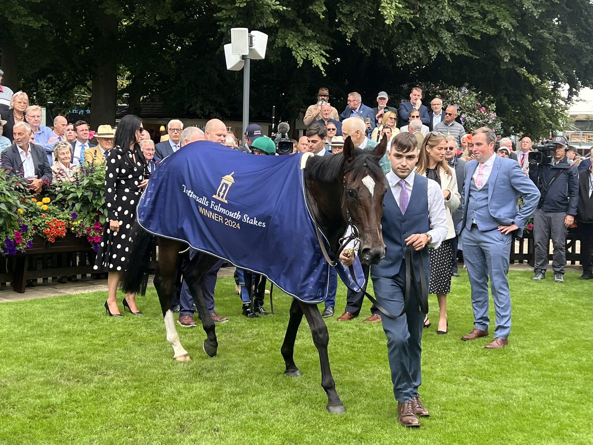 debutantedancer's tweet photo. Easy day at the @NewmarketRace office for Porta Fortuna. Another G1 in the bag @Tattersalls1766 Falmouth Stakes. #julycupfestival #newmarket #julycourse https://t.co/aN8dbBOcOp