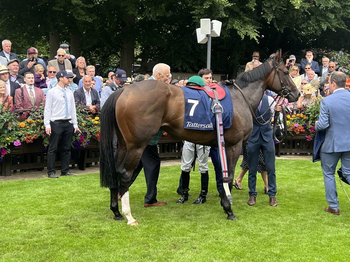 debutantedancer's tweet photo. Easy day at the @NewmarketRace office for Porta Fortuna. Another G1 in the bag @Tattersalls1766 Falmouth Stakes. #julycupfestival #newmarket #julycourse https://t.co/aN8dbBOcOp