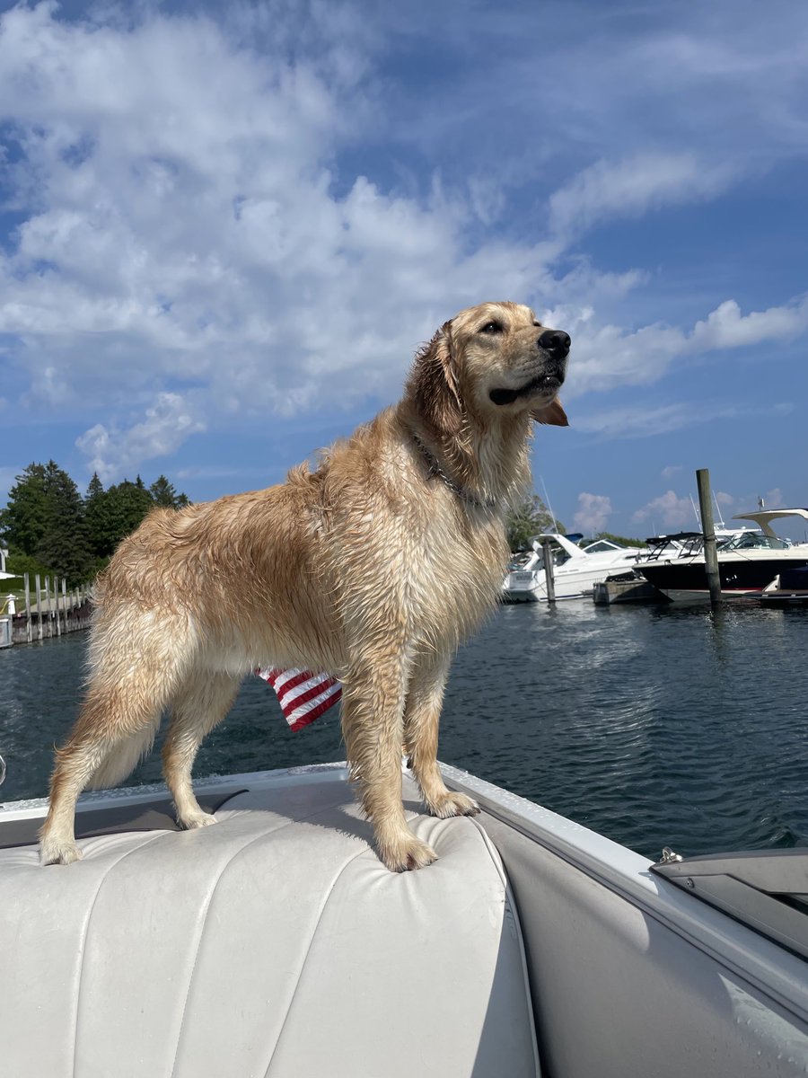 Matt Shepard tweet media