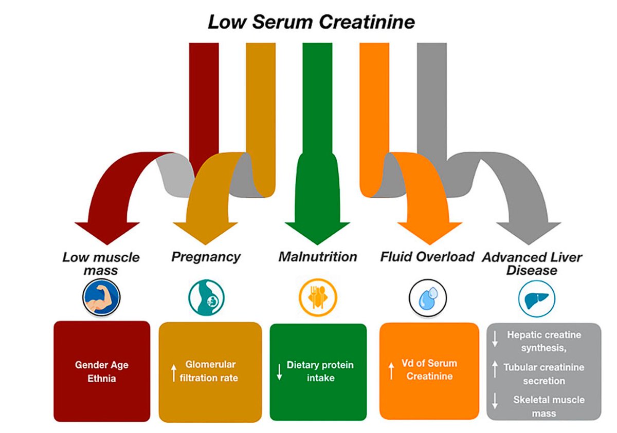 El biomarcador que tenemos en hospitales públicos en México. Creatinina.🚦Importante conocer limitaciones.
The Good, the Bad, and the Serum Creatinine: Exploring the Effect of Muscle Mass and Nutrition. Blood Purif 1 November 2023; 52 (9-10): 775–785. doi.org/10.1159/000533…