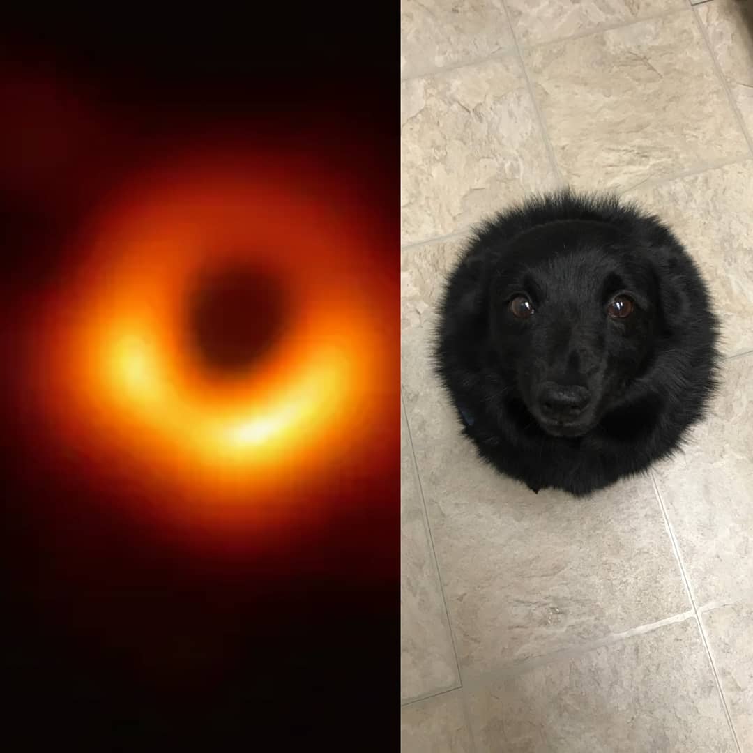 benthedog_sol's tweet photo. @W0LF0FCRYPT0 BLACKHOLE $BEN

https://t.co/5y50ByM23w https://t.co/Mjka6IMgC2