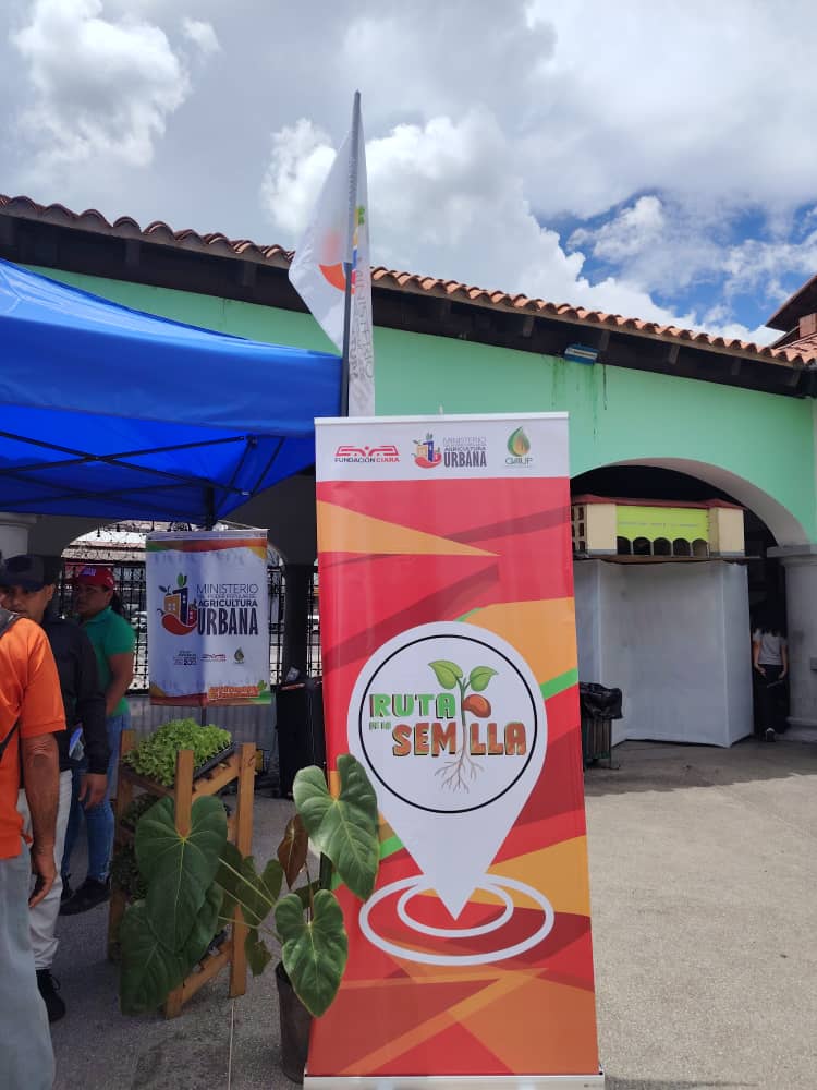 ciara_minppau's tweet photo. 📣 #Cultiva tus propios alimentos y contribuye a la seguridad alimentaria.
Hoy #12deJulio en el Parque del Oeste Alí Primera, "La Ruta de la Semilla" entregó plántulas y brindó formación sobre cómo sembrar, cuidar y cosechar.

#LaPoesíaNosUne #Venezuela
@NicolasMaduro https://t.co/pAFFhpn14j