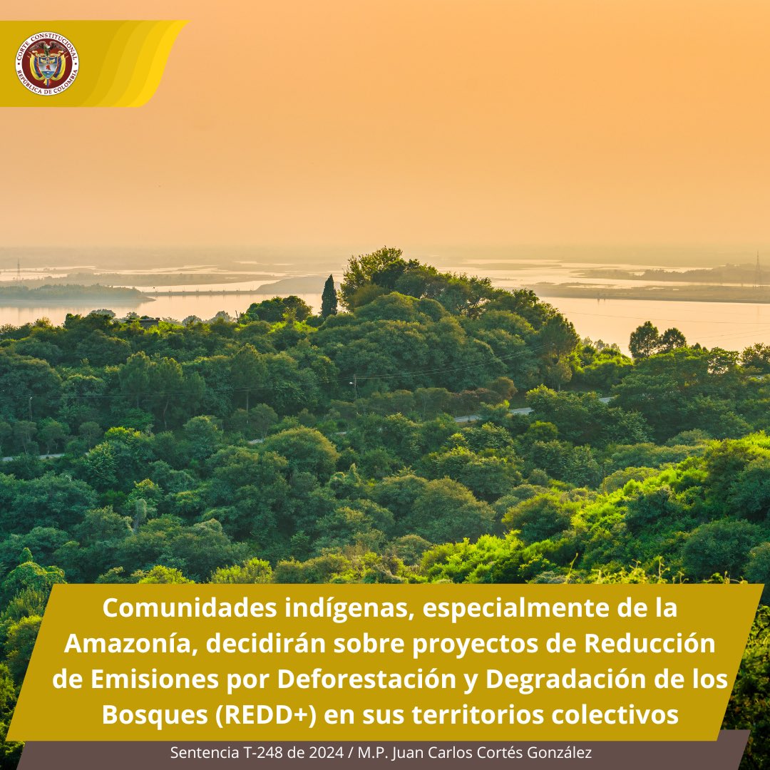 CConstitucional's tweet photo. #LaCorteInforma | Comunidades indígenas, especialmente de la Amazonía, decidirán sobre proyectos de Reducción de Emisiones por Deforestación y Degradación de los Bosques (REDD+) en sus territorios colectivos

T-248 de 2024
M.P. Juan Carlos Cortés G.  
▶️ https://t.co/8Xt9YcvIOt https://t.co/OjLWHUL3Wj