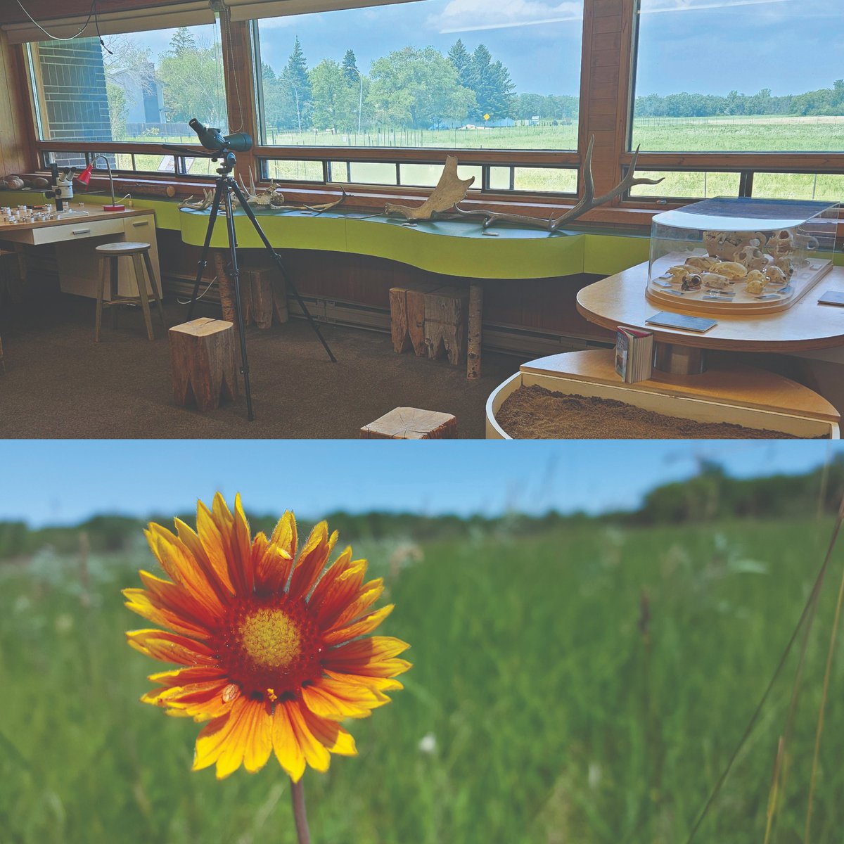 Inside or outside? You decide! (or maybe the weather decides!) Visit the prairie trails anytime dawn-dusk or the Interpretive Centre 10am-5pm Tues-Sun.