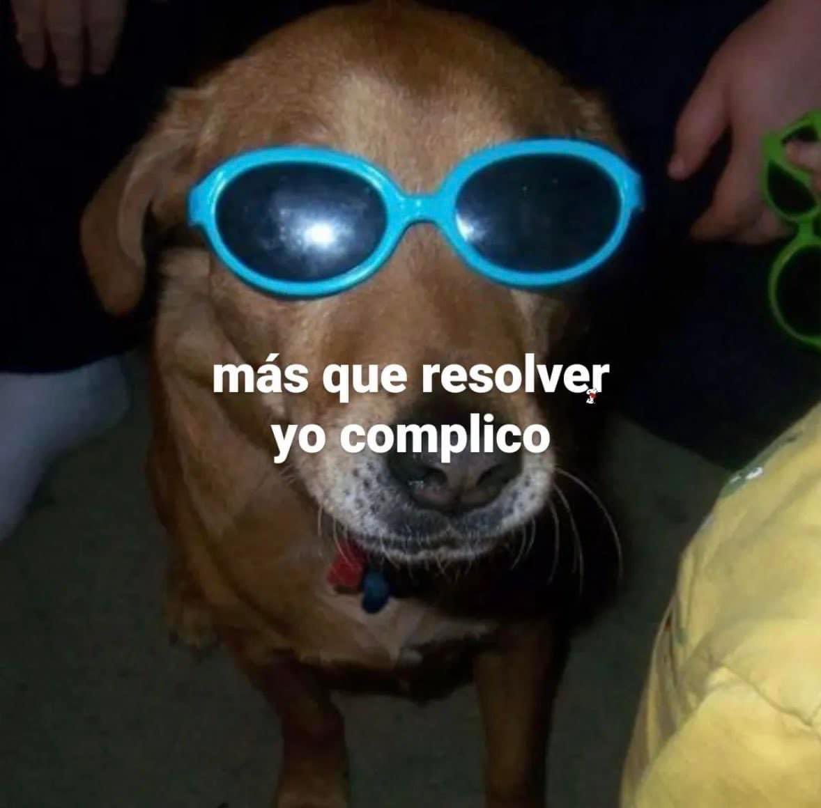Kendall Roy 𝕏 tweet media