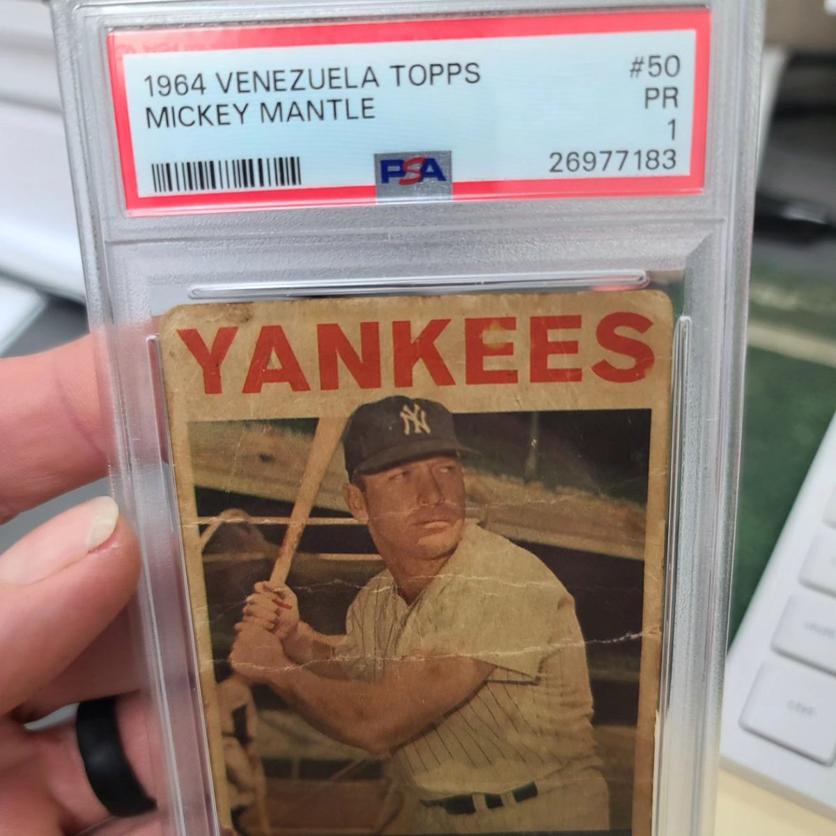 Bonsai Cards tweet media