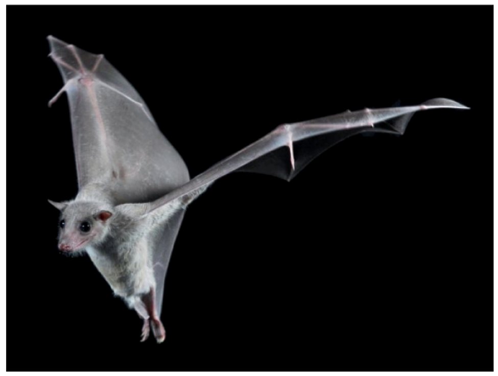 Nature Methods tweet media