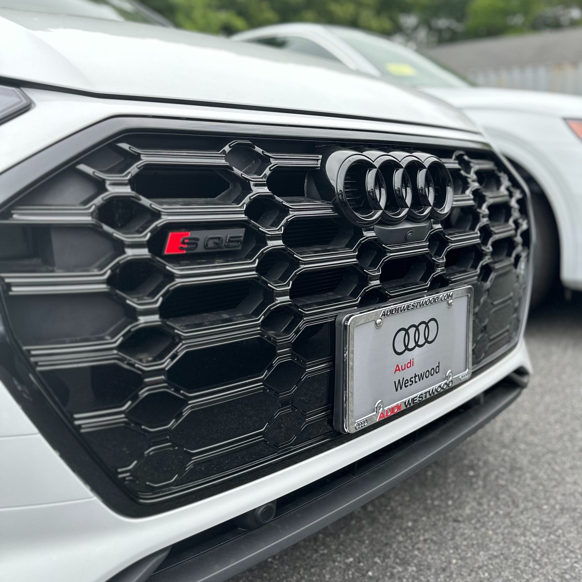 WestwoodAudi's tweet image. 🏁 Get ready to feel alive behind the wheel of this Audi SQ5, available now. #TestDriveReady #ShopAudi