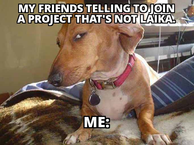 DeFi MonKee tweet media