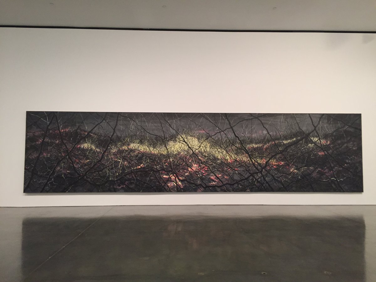 photos i took on a walk in december 2015