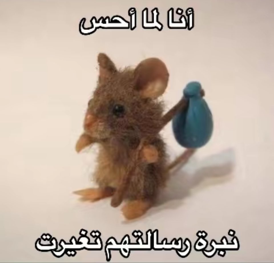 world_erorr's tweet image. 