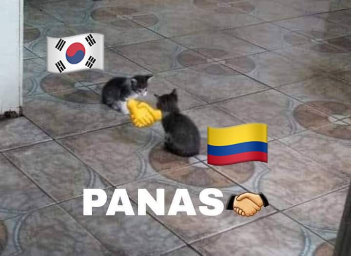 nacional_memes's tweet photo. Corea llegando con todo el K-pop a apoyar a Colombia para que gane la Copa America 
Like si conoce la historia de esta gran amistad  🇰🇷🇨🇴 Besties 🐶 https://t.co/SCuRgkmAq2