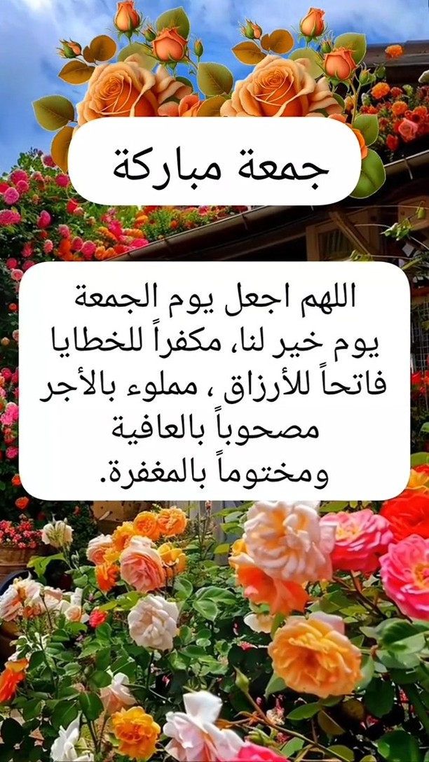 mergunnnn's tweet photo. @sulamikhalid227 https://t.co/BURIsIYY6y