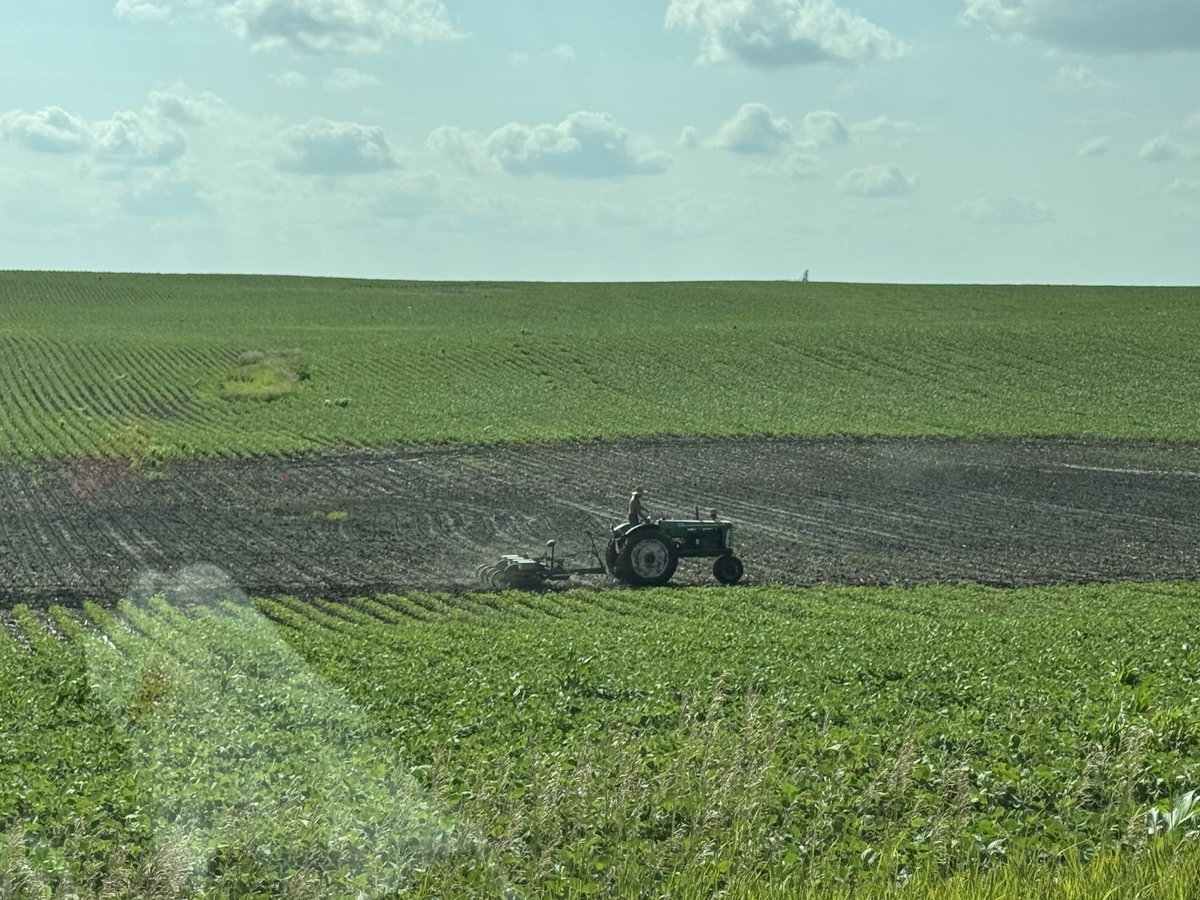 Storby Seed (@mattmstorby) on Twitter photo There are a few good, young, and ambitious kids out there! #90daybeanchallenge <a href="/Asgrow_DEKALB/">DEKALB Asgrow Seed</a> There are a few good, young, and ambitious kids out there! #90daybeanchallenge <a href="/Asgrow_DEKALB/">DEKALB Asgrow Seed</a>