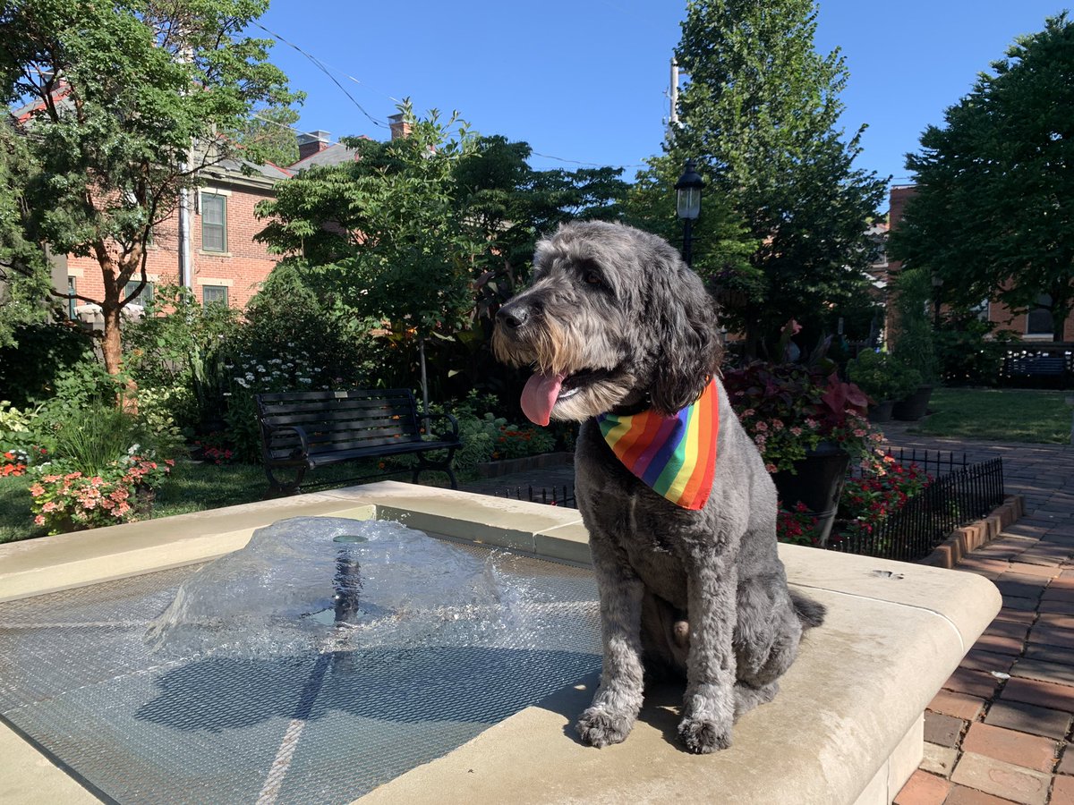 I’ve been slacking, but happy Frank Friday! #goodboi #dogdad