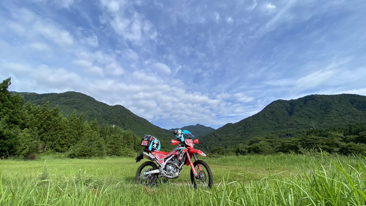 順調‼️晴れに雨装備w
U川沿いﾅｳ