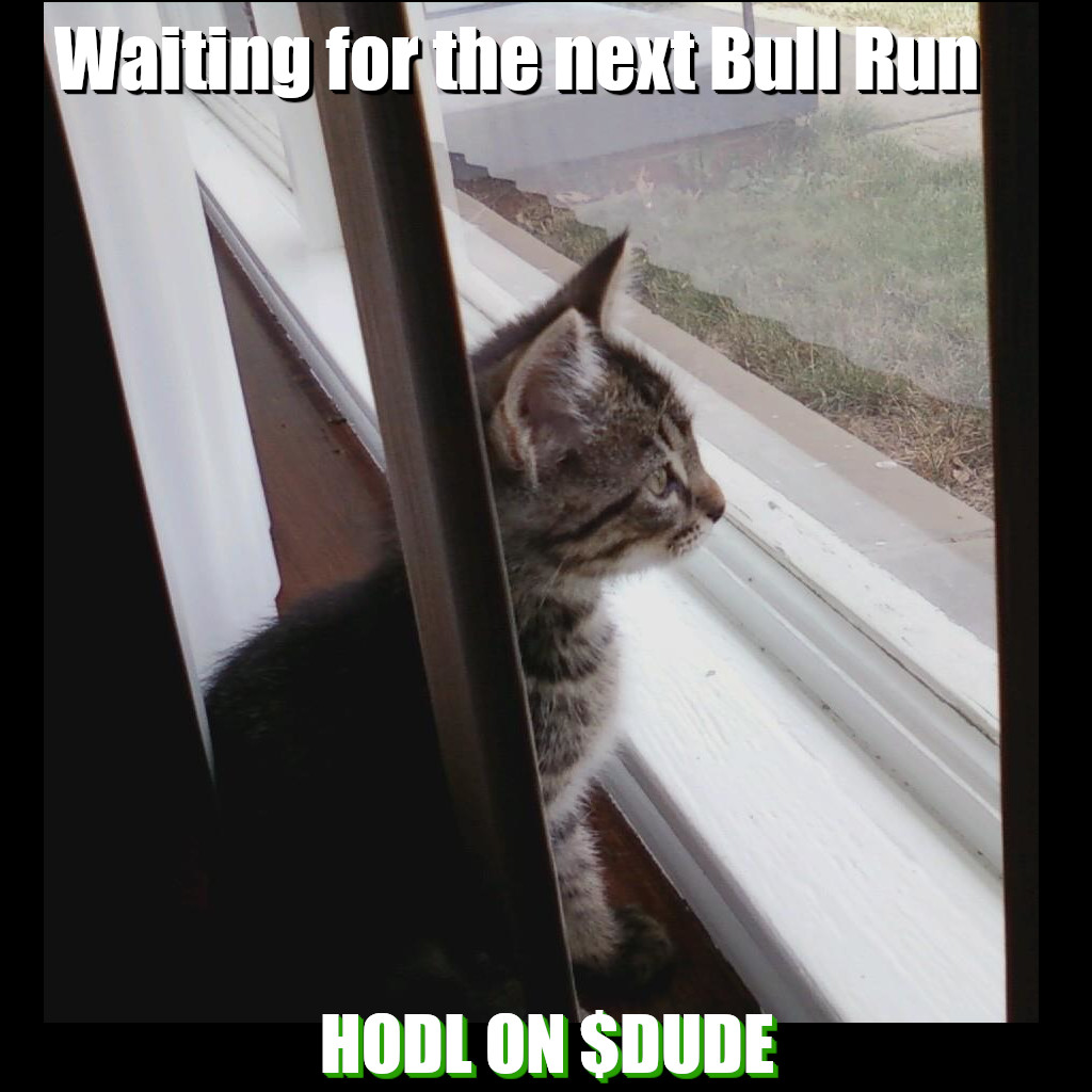 DudeCoinSol's tweet image. Little Dude waiting on the next Bull Run
$DUDE
 dudecoin.net
 #HodlOn #HodlOnDudes #DudeCoinNation #DudeCoin #MemeCoin #Crypto #Memes #cats #Catmemes #SolanaCommunity $Sol #Solana