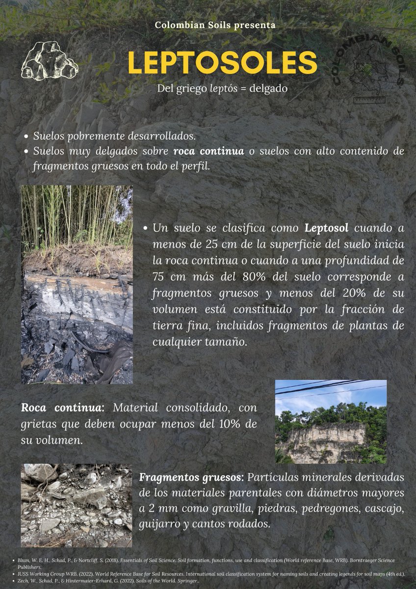 Leptosols are very shallow soils over continuous rock or with high content of rock fragments.

Here we show some Leptosols from Colombia. 

Follow 🧵⬇️
