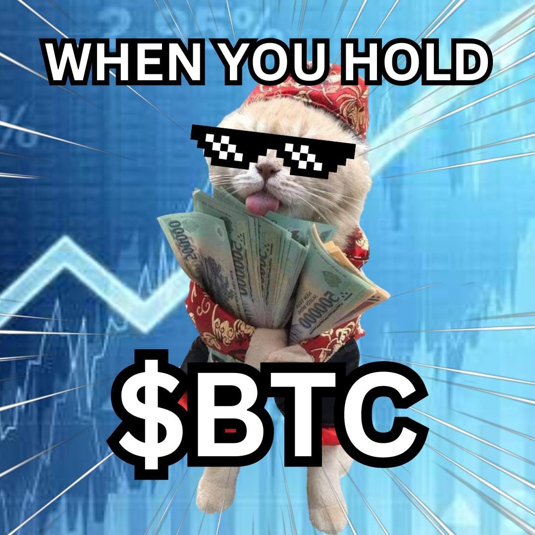 BUYTHISCATcto's tweet photo. you dont need any other cat

you just need to buy THIS cat

and hey look, it just so happens to be ticker $btc https://t.co/ICwNohu3wh
