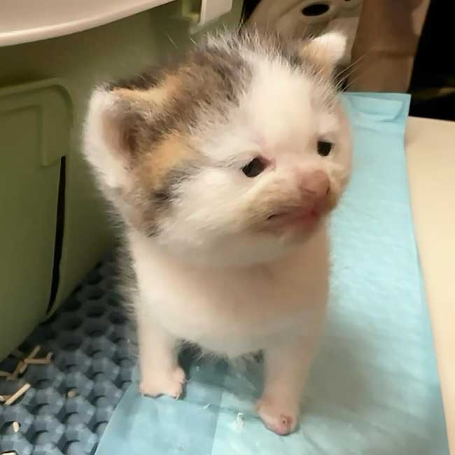 LFG!  join VC!
D6pLS898SHobDUgbuvpKpyA9u14WT31BiAegLaAJpump