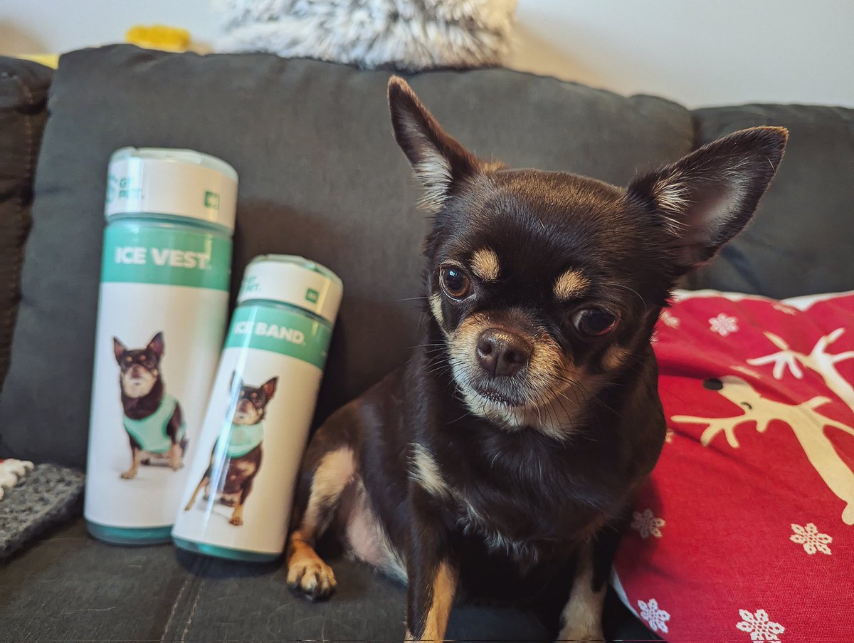 Tim Duboyce tweet media