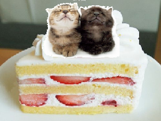 i love you so much fuly wholy forever,...,