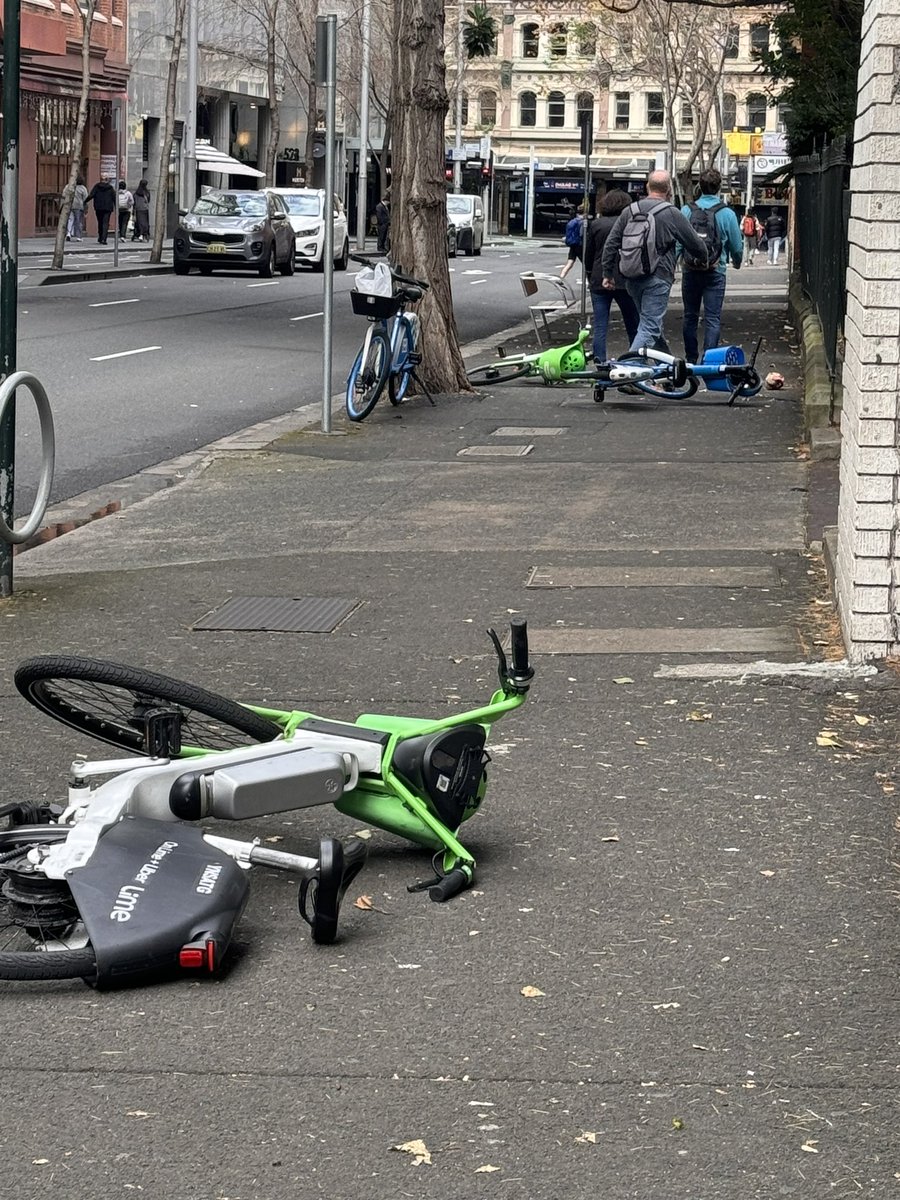 Denise Roberts tweet media