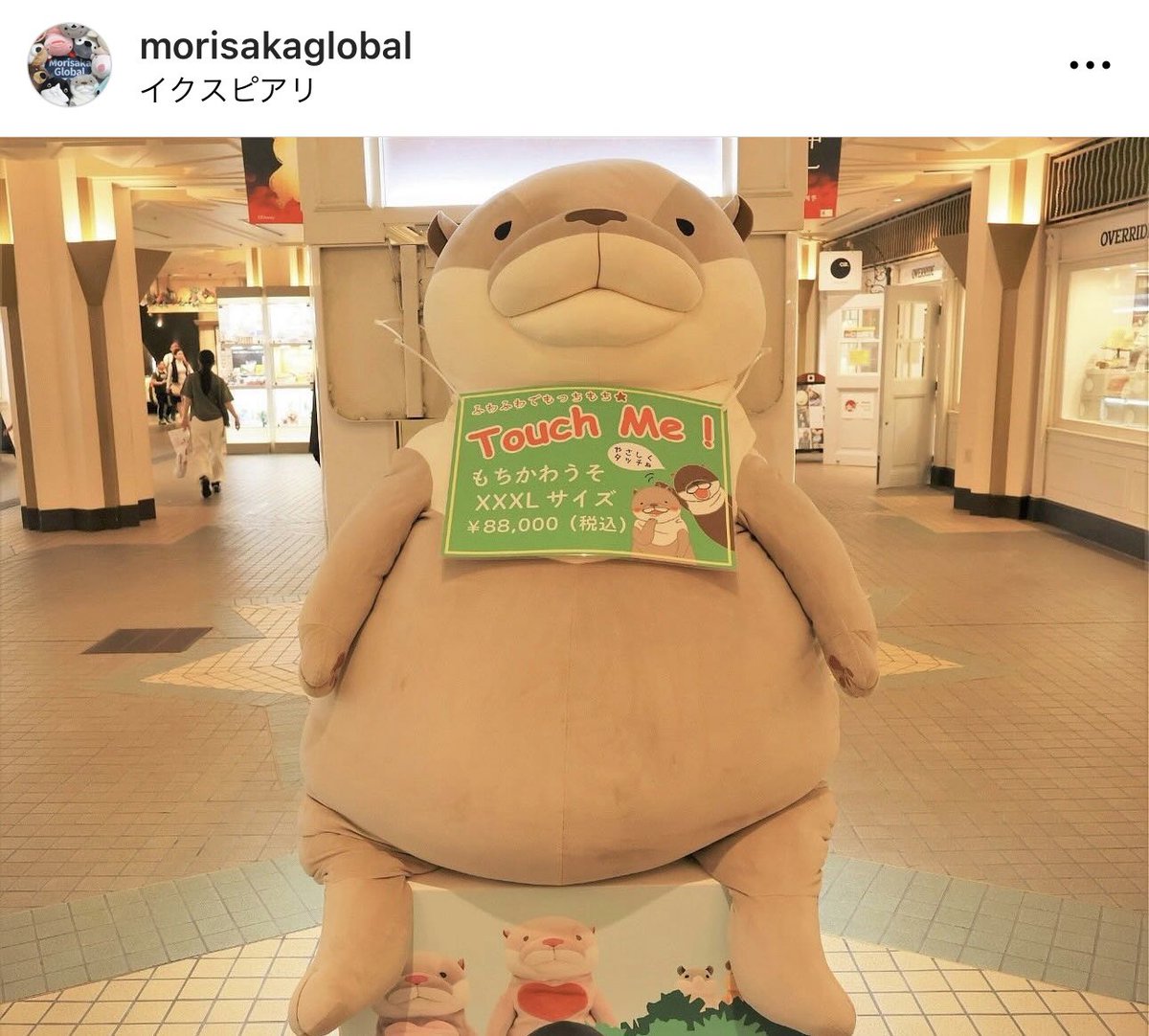 リバイバル マザーケア ぬいぐるみ　お値引き不可 Amazon.co.jp: 10-20インチZoonomalyぬいぐるみ変態動物園モンスター