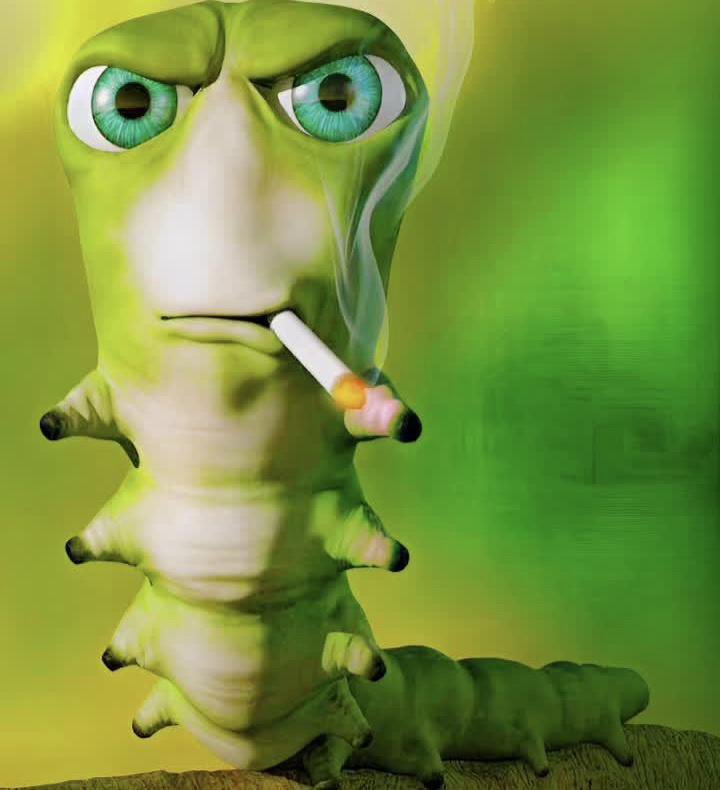 Buddies Basketball tweet media