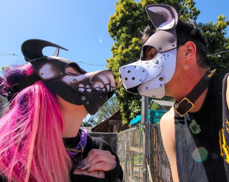 Two Morbid Muttz 🔜 MP tweet media