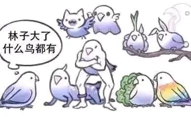 JunLin50021's tweet photo. @woinanren https://t.co/n7S9p4LSEZ