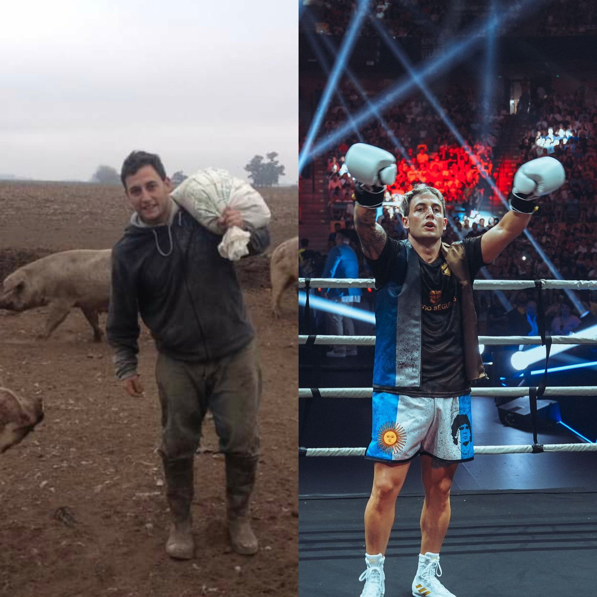 Splinter psicología tweet media