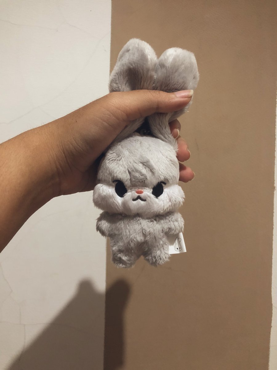 my baby has arrived 😭🩵🩵🩵
thank you @itsminionskr_wh <a href="/dyotokki_/">됴토끼</a>