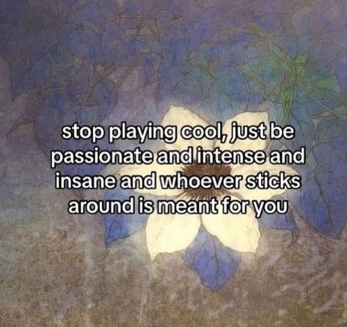 happy venus entering leo