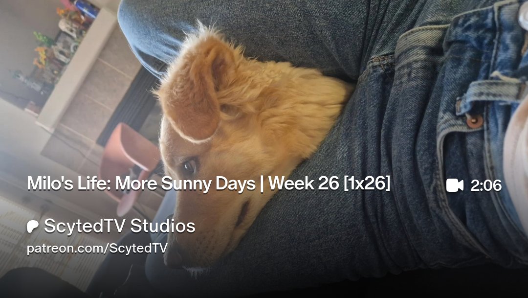 "More Sunny Days | Week 26" is now available on Patreon: patreon.com/posts/108032506