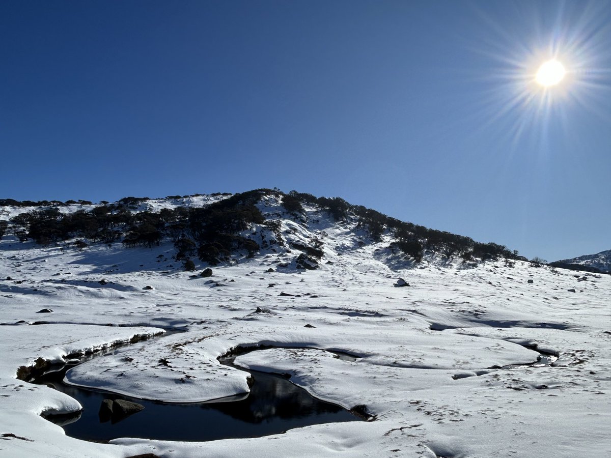 OwenAtkin's tweet photo. May not be a lot of snow, but it sure is pretty. #Kosciusko National park - 2.5 h from #canberra https://t.co/p4ty9AsoMb