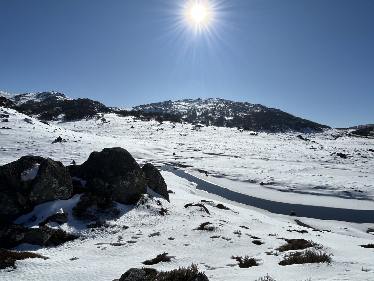 OwenAtkin's tweet photo. May not be a lot of snow, but it sure is pretty. #Kosciusko National park - 2.5 h from #canberra https://t.co/p4ty9AsoMb