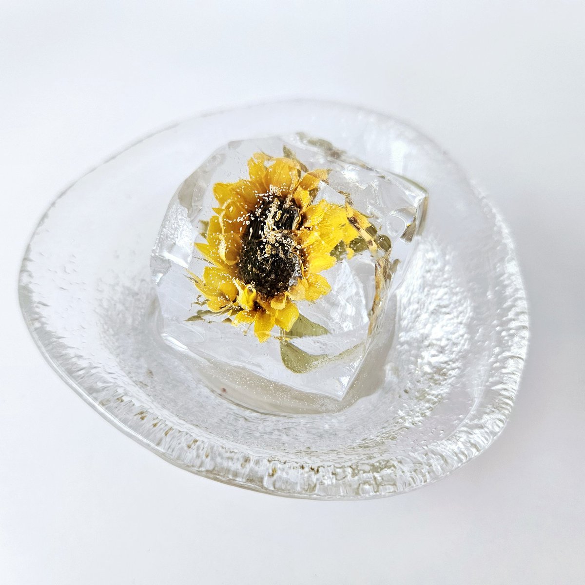 gayu320's tweet photo. ひまわり氷🌻

#生花 #樹脂 #レジンアート #植物標本 #芸術 #レジン #エポキシレジン #ドライフラワー #キリトリセカイ
#art #handmade #resin  #flowerstagram #flower #Japan  #flowerart #beautiful  #epoxyresin #realflower  #photo https://t.co/99qpjaYDEo