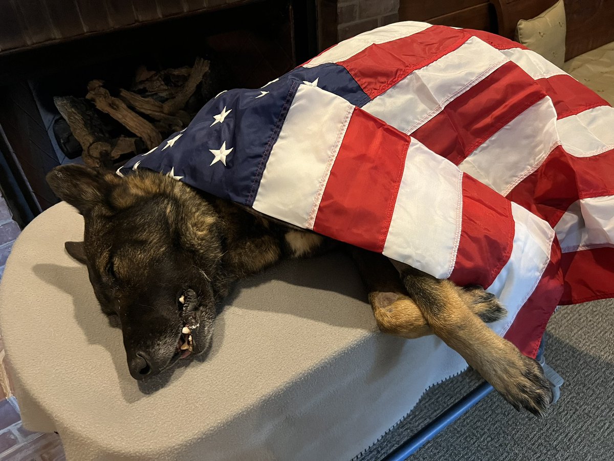 BackOurBlue's tweet image. @OfficialOPLive please keep @StuBishop_LPD, his family &amp;amp; @LawrenceINcity PD in your prayers. #K9Justice passed away unexpectedly this week. We know Sgt Stu &amp;amp; #K9Justice from #LivePD. 
#BackOurBlue 🚔 #BluePawsMatter 🐾 #OPNation #OPLive @ReelzChannel. We love you Sarge 😢🙏💙