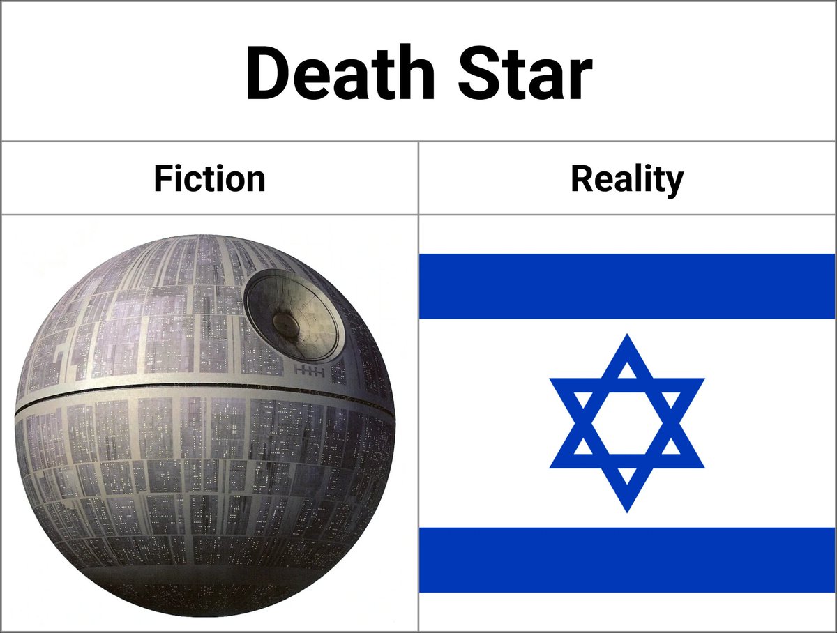 ✦✦✦ 𝙿𝚊𝚖𝚙𝚑𝚕𝚎𝚝𝚜 ✦✦✦ tweet media