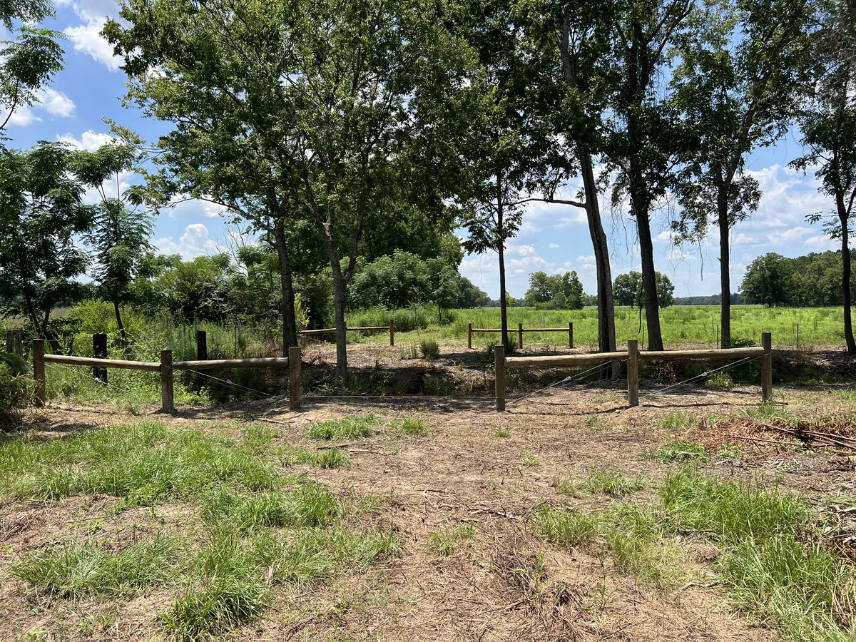 SedrickLMack's tweet photo. Another fence project going up! 🔨 https://t.co/OOcSSHAduu