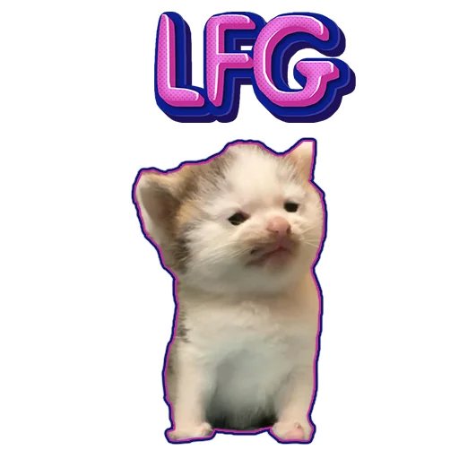 meetsmol's tweet photo. @henokcrypto YEAH WE ARE $SMOL https://t.co/0pTorFcO2a