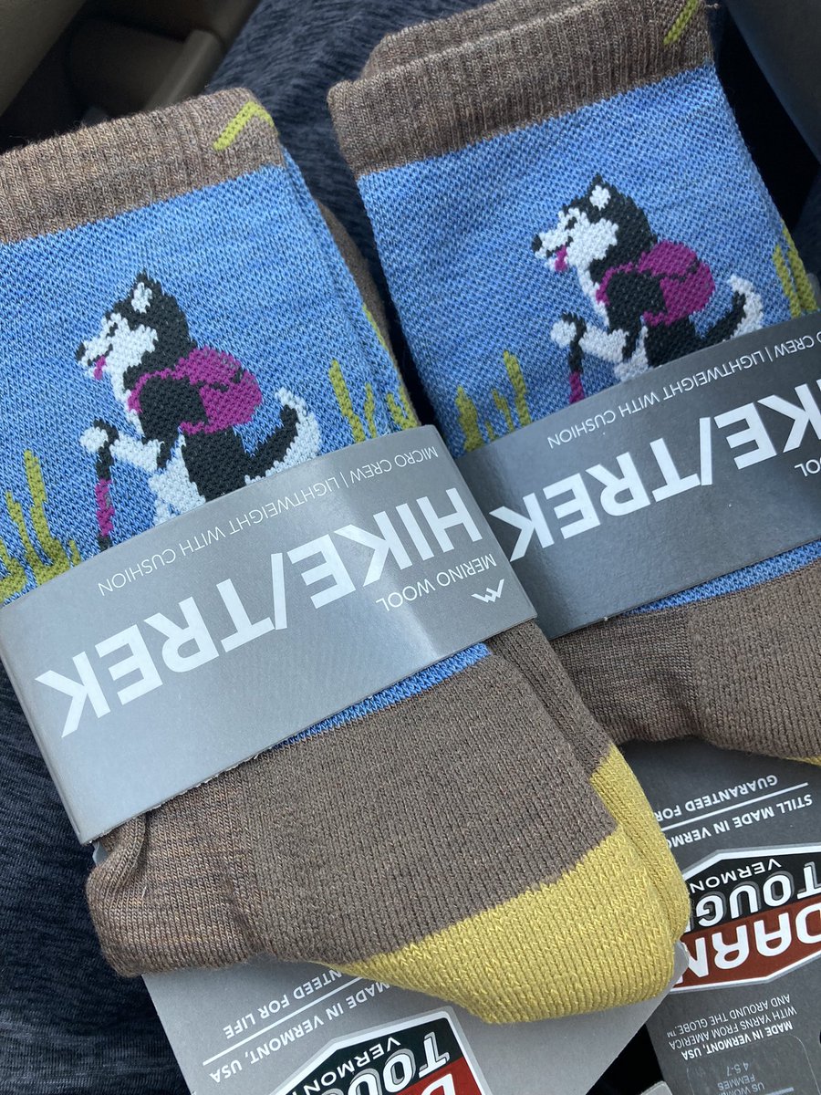 Allison Thai 🐺💉🩺 tweet media