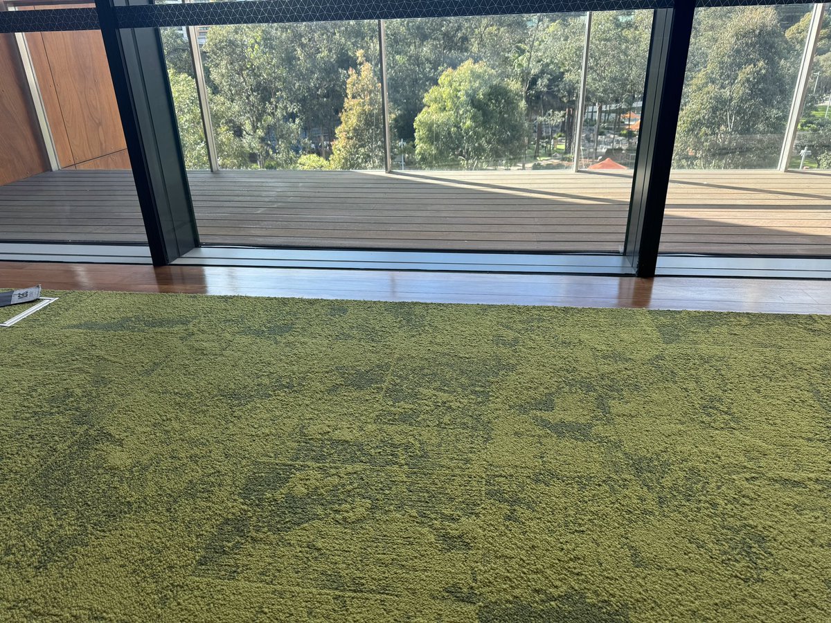 Kate Quane (PhD) tweet media