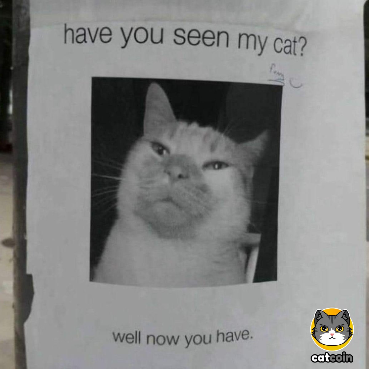 officialcatcoin's tweet photo. Cat owners love their $CATS on #Caturday and every day! - $15 

• Follow @officialcatcoin
• Retweet 
• And comment #Catcoin #USDT #giveaway 

24 hours https://t.co/ck8HvyuIDD