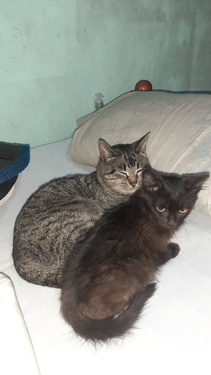 🇦🇷.j.u.a.n.p.i.🏳️‍⚧️ (@1713juanpi) on Twitter photo 