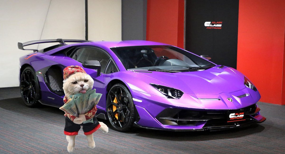 BUYTHISCATcto's tweet photo. this cat is on its way to the dealership, you coming along?

$btc https://t.co/zX6YF30Pt0