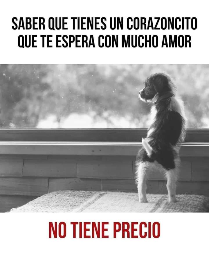 GRamirezF_D12's tweet photo. Buenas noches ✨💖 https://t.co/X99zAYyAw3