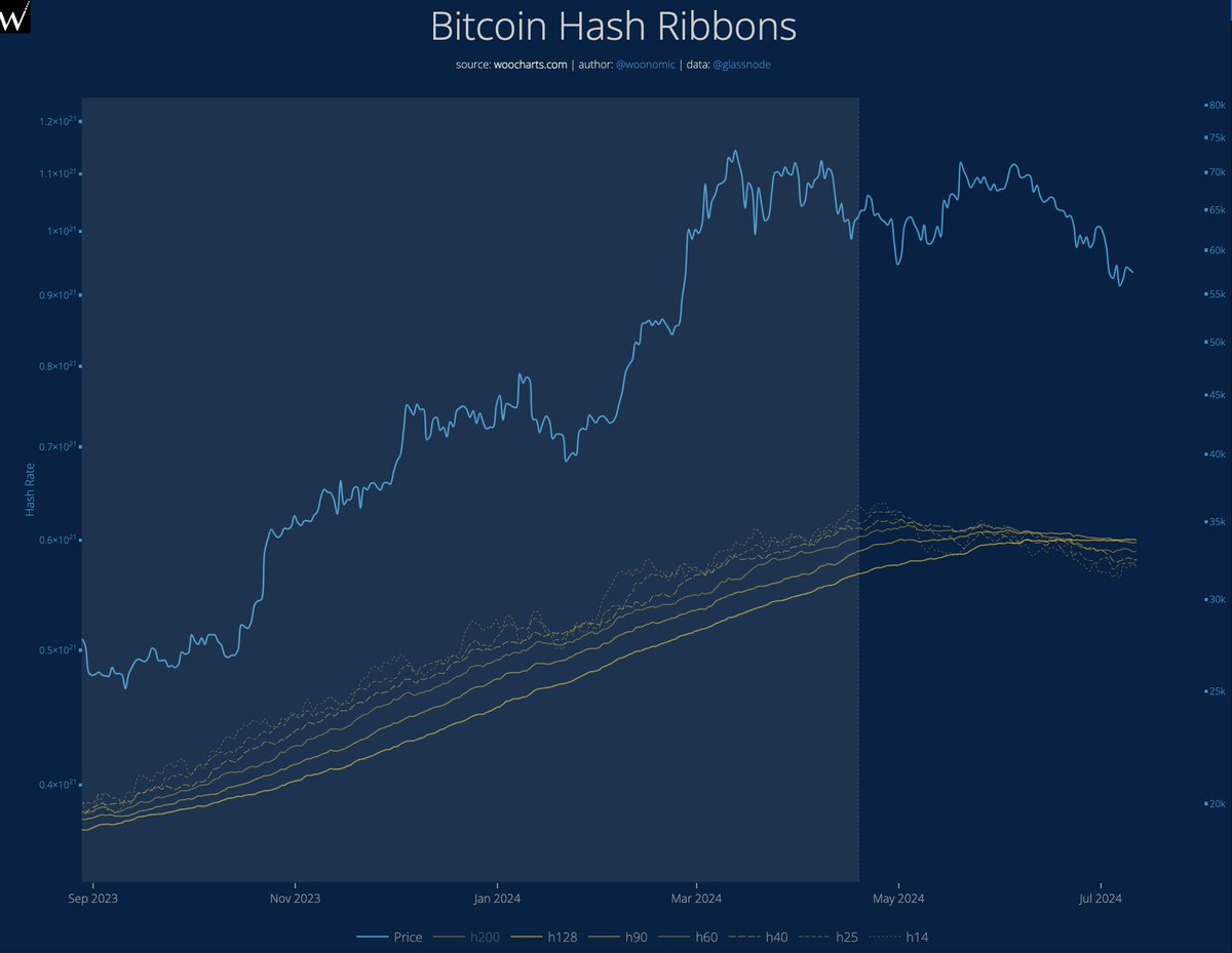 woonomic's tweet image. Early signs Miner Capitulation is ending.